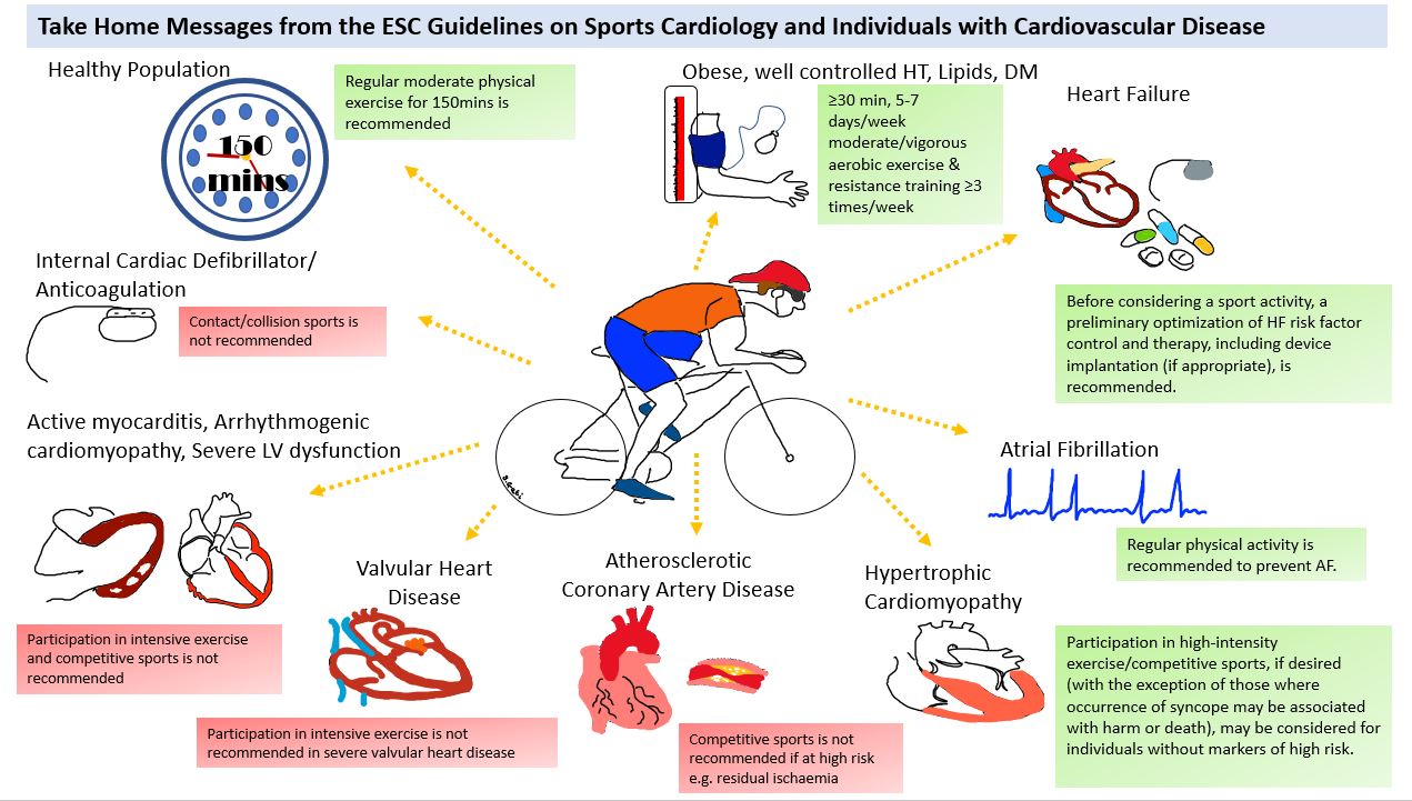 https://www.escardio.org/static-file/Escardio/Medias/associations/european-association-for-cardiovascular-prevention-and-rehabilitation/SportsCardioGL-Figure1.JPG?mts=1606496388000.JPG