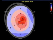 Figure 1c.jpg