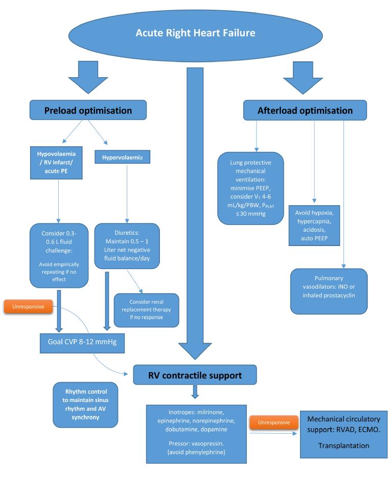 Evaluation and Management of Right-Sided Heart Failure: A, kurnik