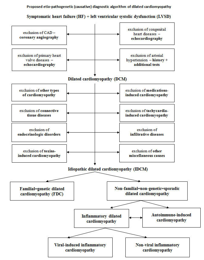 The Diagnostic Work Up Of Genetic And Inflammatory Dilated Cardiomyopathy