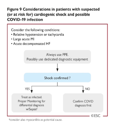 Esc Guidance For The Diagnosis And Management Of Cv Disease During The Covid 19 Pandemic