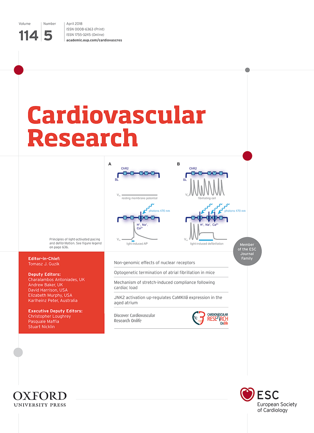 american journal of cardiology 1995 cardiac coherence