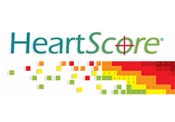 Cardiovascular Risk Calculator Chart