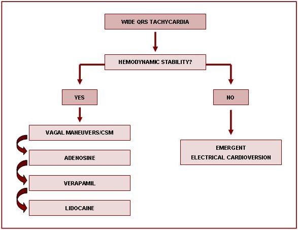 The ECG In Practice 6th Edition - amazoncom