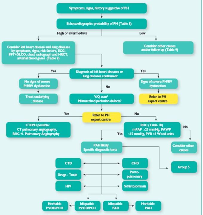 Diagnosis of precapillary pulmonary hypertension. Think outside the box